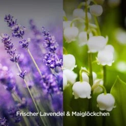 Airwick Raumduft Duftspray, 237 Ml, Geruchsneutralisierend, Lavendel & Maiglöckchen -Smart Haus Geschaf 0bcfc7788d6365d46cb9ed0ed7beddc3442c879e raumduft airwick duftspray 237 ml
