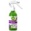 Airwick Raumduft Duftspray, 237 Ml, Geruchsneutralisierend, Lavendel & Maiglöckchen -Smart Haus Geschaf 4c9aeb3d8dd789d1f5fa2dc765dddcce308f233a raumduft airwick duftspray 237 ml