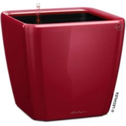 Lechuza Übertopf QUADRO LS 43 Rot Hochglanz, 43 X 43 X 39 Cm, Quadratisch, Kunststoff