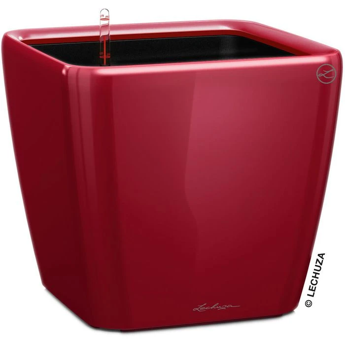 Lechuza Übertopf QUADRO LS 43 Rot Hochglanz, 43 X 43 X 39 Cm, Quadratisch, Kunststoff 3 Lechuza Übertopf QUADRO LS 43 Rot Hochglanz, 43 X 43 X 39 Cm, Quadratisch, Kunststoff