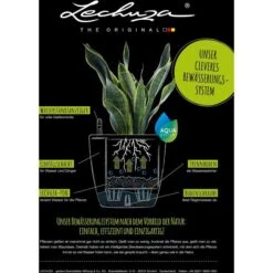 Lechuza Übertopf QUADRO LS 43 Rot Hochglanz, 43 X 43 X 39 Cm, Quadratisch, Kunststoff 10 Lechuza Übertopf QUADRO LS 43 Rot Hochglanz, 43 X 43 X 39 Cm, Quadratisch, Kunststoff -Smart Haus Geschaf b90d0ca01b8edd50697eeb86d2e5869dbc56910d uebertopf lechuza quadro ls 43 rot hochglanz